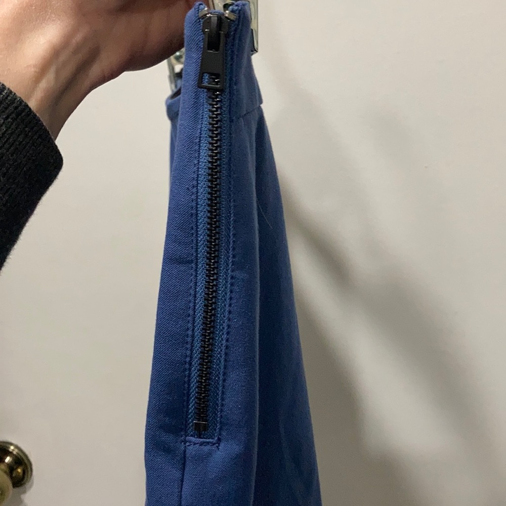 Everlane Work Pant Size 4 Blue